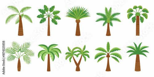 Collection of various tropical palm trees with different leaf shapes and styles