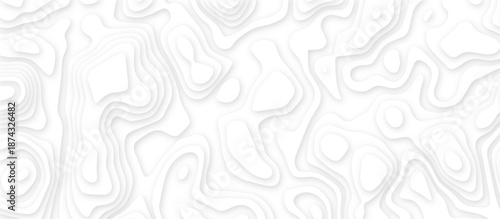 White abstract topography layered paper cut background. Minimal white 3d paper cut contour map design. Paper cut landscape contour texture. Seamless wavy lines pattern.