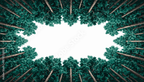 Looking up through a dense forest canopy creating a natural frame of green trees against a bright white sky.