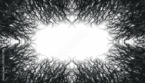 Symmetrical black and white abstract image of tangled tree branches forming an organic frame around a bright central void.