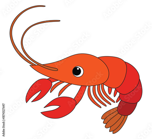 Simple shrimp isolated on white background