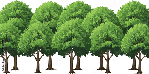 Green forest tree collection illustration with lush foliage, deciduous woodland plants isolated on white background, nature landscape design elements for environment, ecology, and scenery projects