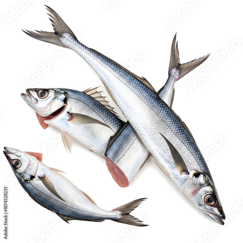 Fresh Raw Mackerel Fish Isolated on White Background