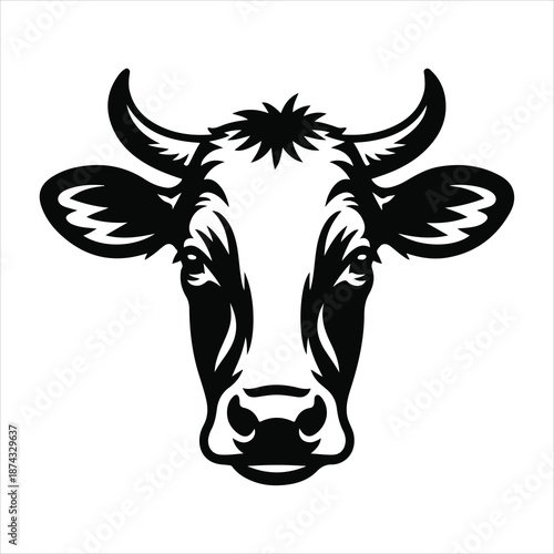 black and white cow
