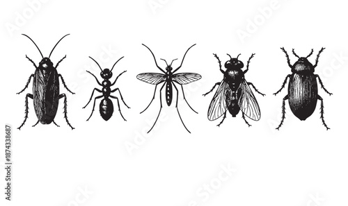 A black and white vector illustration featuring a collection of common insects including a cockroach, ant, mosquito, fly, and beetle, isolated on a white background.