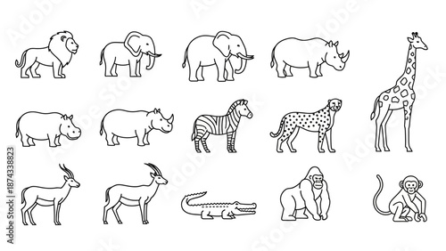 African Safari Animals Collection - Line Art Icons