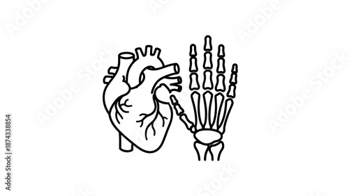 Anatomical Heart and Skeleton Hand Illustration, Medical Concept, Black and White Line Art