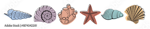 set of colored seashells isolated vector illustration