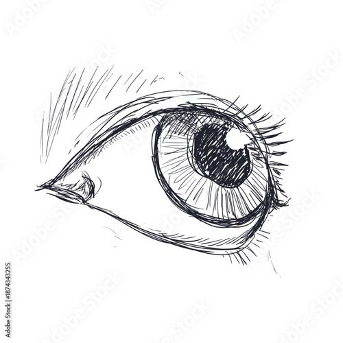 Realistic Human Eye Sketch Illustration Hand Drawn with Ink Lines