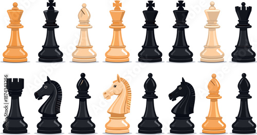 Set of Black and White Chess Pieces with Detailed King Queen Rook Bishop Knight and Pawn Designs Illustration