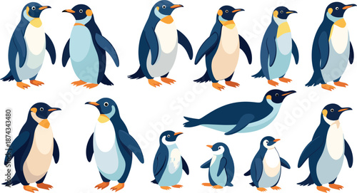 Set of Penguins in Various Poses Walking Standing and Swimming Antarctic Wildlife Illustration