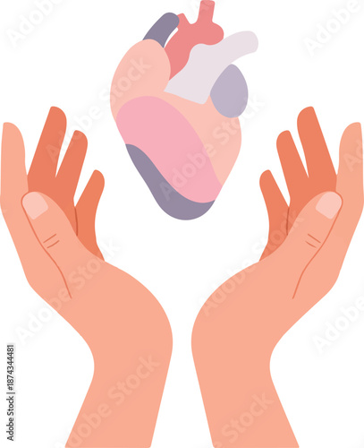 A pair of hands tenderly cradle a colorful anatomical heart, symbolizing care, compassion, and health.