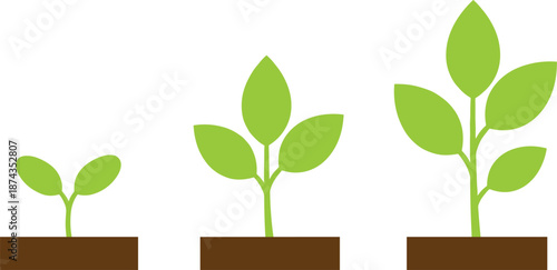 Plant growth stages showing seedling development and young sprout maturity in soil for agriculture and gardening concepts.
