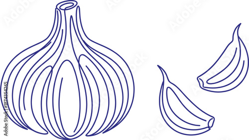 Garlic bulb and cloves blue outline illustration, hand drawn line art food ingredient, organic cooking concept
