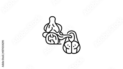 Abstract Outline of Garlic Bulb and Cloves