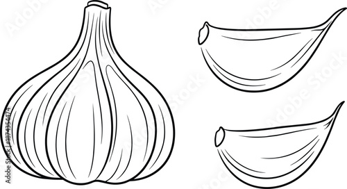 Garlic bulb and cloves outline illustration, hand drawn line art food ingredient icon, organic cooking concept