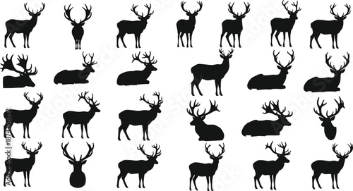 Collection of realistic deer silhouettes including stags with large antlers in various poses like standing, sitting, and head profiles for nature and hunting designs