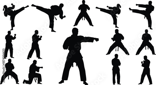 Professional Karate Silhouettes Collection Featuring Martial Arts Action Poses Including Side Kicks Roundhouse Kicks Punches Defensive Stances And Traditional Gi Uniform For Combat Sports Design