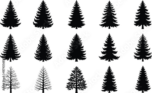 Set of fifteen evergreen pine and spruce tree silhouettes in various styles including solid black vector shapes and detailed branch outlines for forest landscape design