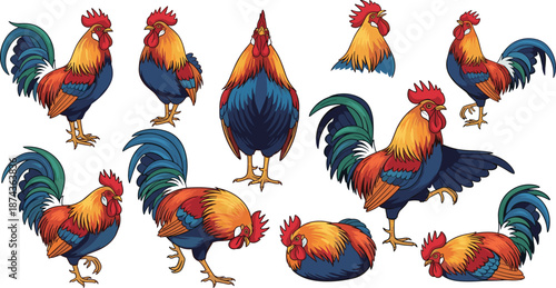 Colorful rooster illustration set with dynamic poses and expressive features, vibrant plumage character design for artistic and educational use