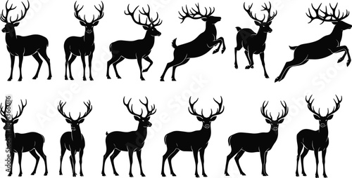 Deer silhouette collection, stag poses set, wildlife animals, black vector illustration, forest nature, isolated on white background design stock template