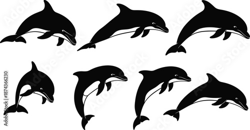 Dolphin silhouette set, swimming poses, marine mammal collection, black vector illustration, ocean wildlife, aquatic animals, isolated on white background design
