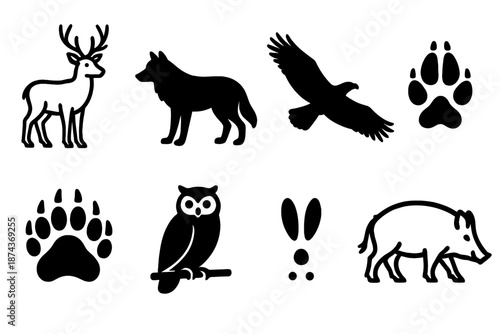 Wildlife Silhouettes. Wild Fauna set in outline vector style: forest deer, wolf silhouette, soaring eagle, fox tracks, bear paw, owl perch, rabbit hop icon, wild boar outline