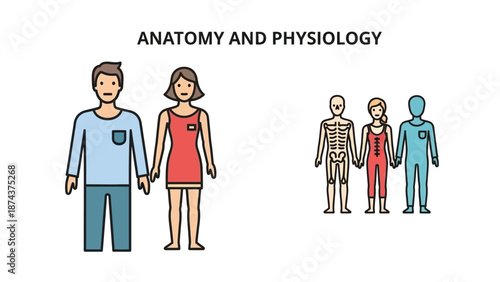 Anatomy and Physiology: Human Body Outline and Skeleton Comparison