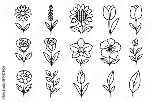 Outlined Wildflower Icons. Wildflowers set in outline vector style : daisy, lavender, sunflower, tulip, rose, lily, orchid, hibiscus, marigold, vine, bud, leaf