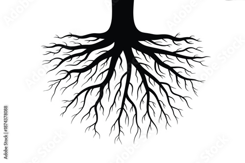A striking silhouette of tree roots spreading beneath the surface isolated on white