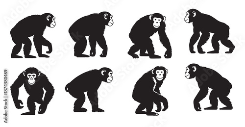 nine chimpanzee silhouettes various poses black white