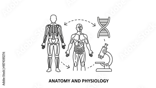 Anatomy and Physiology: Human Body Systems, DNA, and Microscope Icon Set