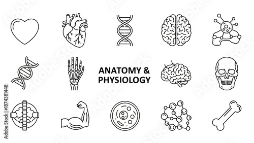 Anatomy and Physiology Icons: Heart, Brain, DNA, Skeleton, Muscle, Cell