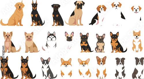 Cute dog breed vector set featuring various puppies in sitting poses with colorful cartoon-style illustrations for pet-themed designs