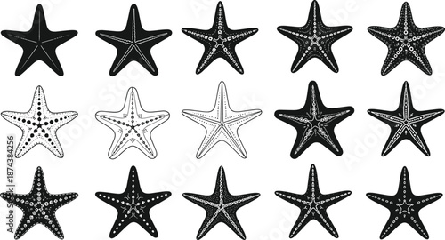 Large Collection of Starfish Silhouettes and Line Art Featuring Various Patterns and Textures for Marine Life Design, Beach Decor, Coastal Projects, and Vector Illustration