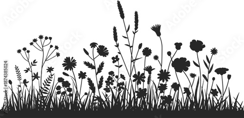 Wildflower meadow grass silhouette border, black botanical plants and flowers vector illustration, spring nature floral background on white