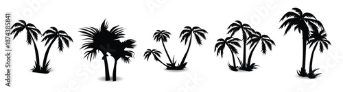  silhouette of coconut tree in arabic