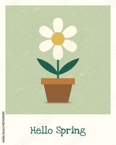 Spring greeting card with potted daisy and hello spring text. Pastel minimalist illustration for seasonal design.