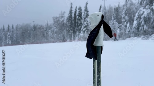 happy skiers and snowboarders at the ski resort relax and ride on the snow-white snow in winter