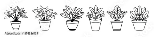 Six Black and White Houseplants in Pots Line Art Illustrations
