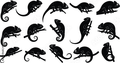 Large Collection of Chameleon Silhouettes in Various Poses Climbing Branches for Reptile Wildlife Design Tropical Nature Projects Exotic Animal Graphic Vector Illustration Elements