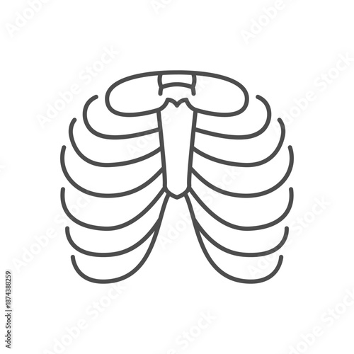 Rib cage line outline icon