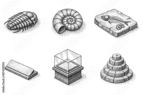 Vintage fossil collection in detailed stippling art
