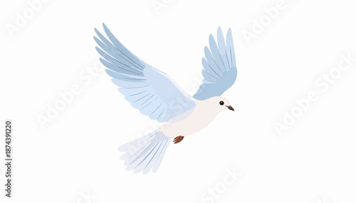 A white bird with blue wings in flight from a side view