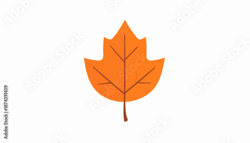 An orange leaf is centered on a white background viewed from directly above