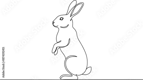 Minimalist line drawing of a rabbit standing upright on white background