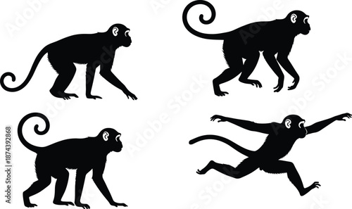 Black monkey silhouette set showing walking running and jumping poses isolated on white background vector