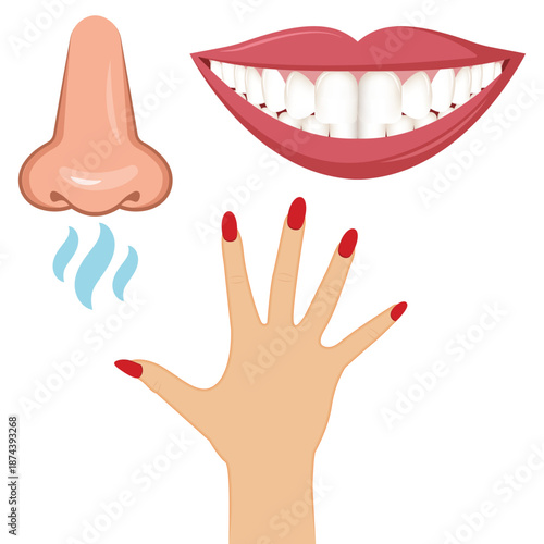 Woman hand with red nails, smiling mouth with healthy teeth and front of nose who smell