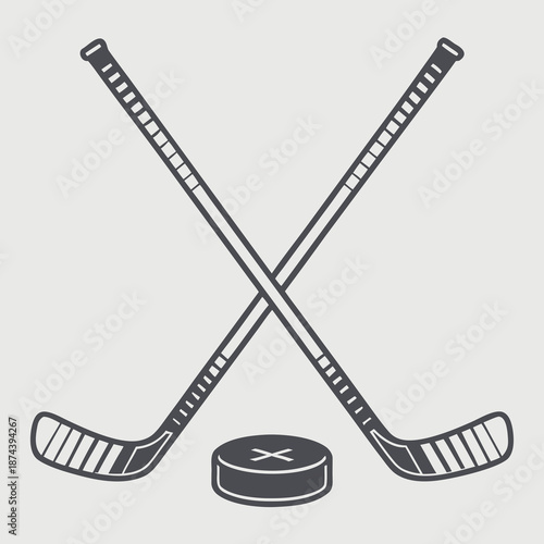 hockey stick and puck