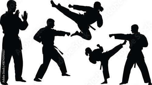 Martial arts silhouettes, karate fighters performing kicks and punches, combat training poses, dynamic action figures, black silhouettes, isolated on white background
